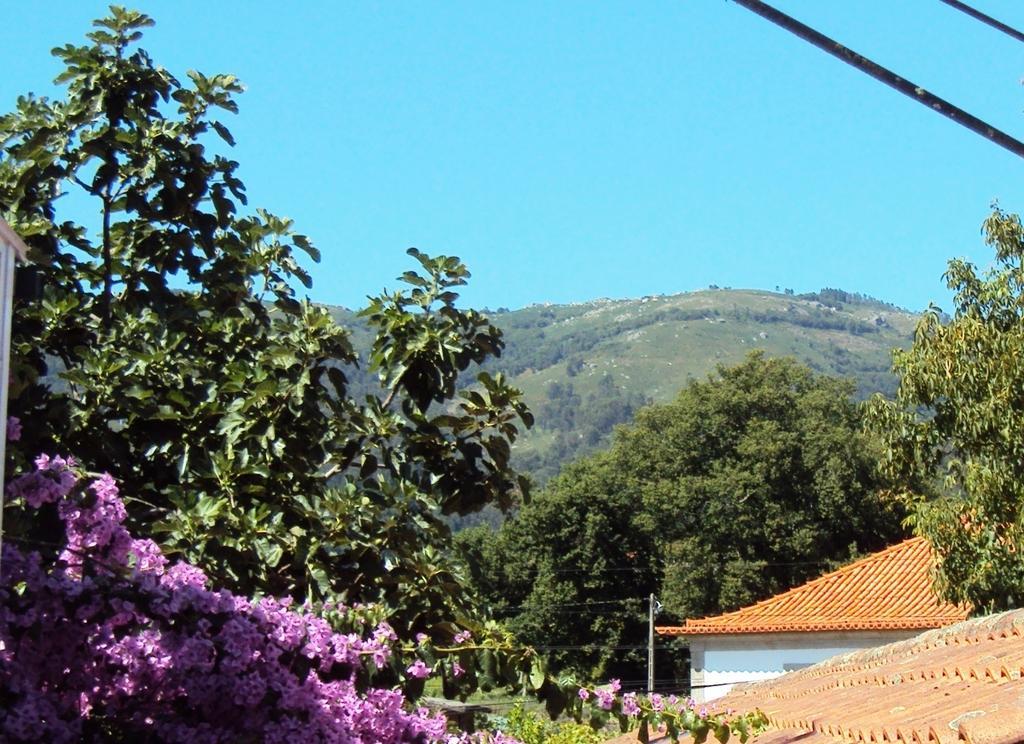 Casa Do Mosteiro De Refoios Do Lima Ponte de Lima Værelse billede